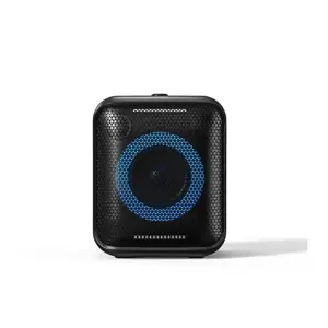 F & D AUD PARTY SPEAKER PA-100