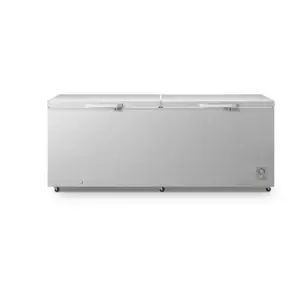 HISENSE FREEZER 91DD SLV