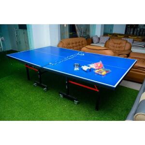 TABLE TENNIS