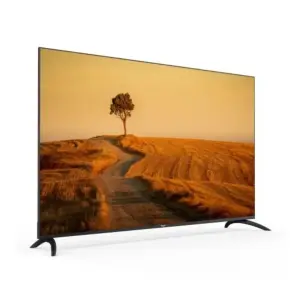 ROYAL TV RTV65GF4U
