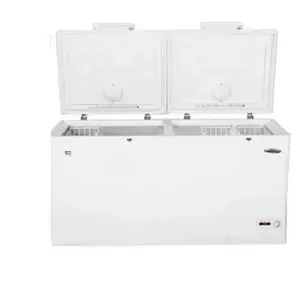 SKYRUN FREEZER BD-420W