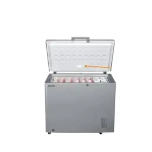 SKYRUN FREEZER BD260A